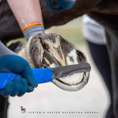 FB_IMG_1774598948508