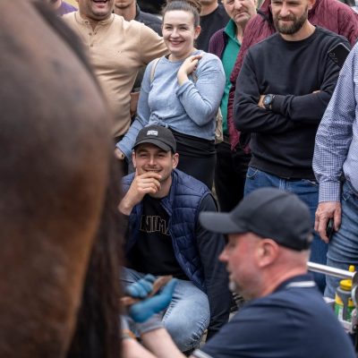 FB_IMG_1774598970062